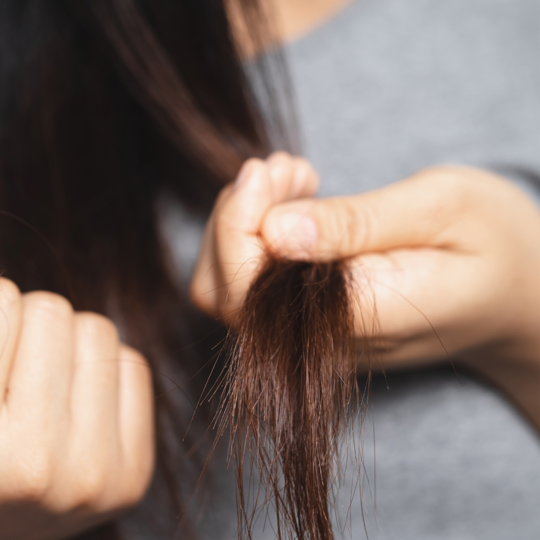 Shampoo per Capelli Secchi e Crespi